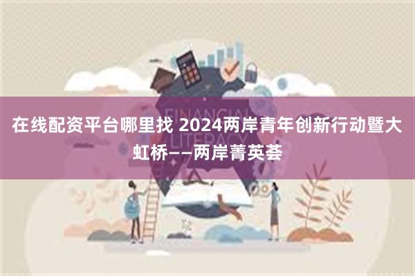 在线配资平台哪里找 2024两岸青年创新行动暨大虹桥——两岸菁英荟