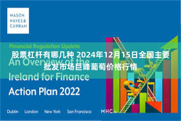 股票杠杆有哪几种 2024年12月15日全国主要批发市场巨峰葡萄价格行情