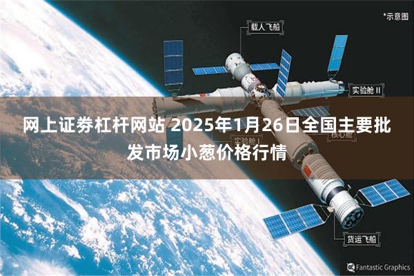 网上证劵杠杆网站 2025年1月26日全国主要批发市场小葱价格行情