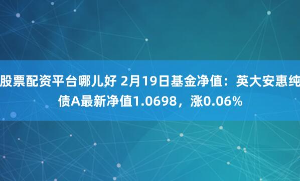 股票配资平台哪儿好 2月19日基金净值：英大安惠纯债A最新净值1.0698，涨0.06%