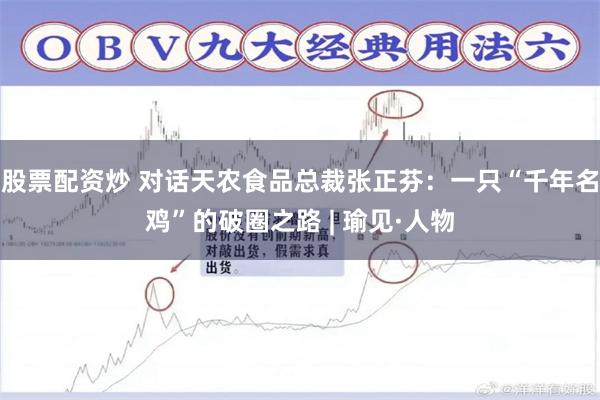 股票配资炒 对话天农食品总裁张正芬：一只“千年名鸡”的破圈之路 | 瑜见·人物